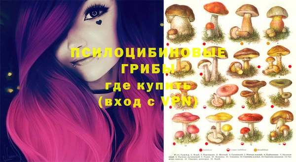 не бодяженный Аркадак