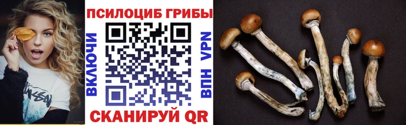 кракен как зайти  где продают   Судак  Галлюциногенные грибы прущие грибы 